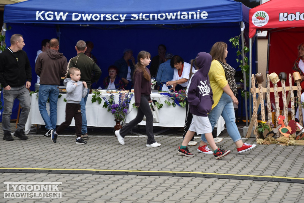 Piknik Rolniczy w Sichowie Dużym