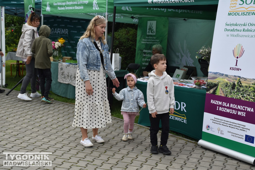 Piknik Rolniczy w Sichowie Dużym