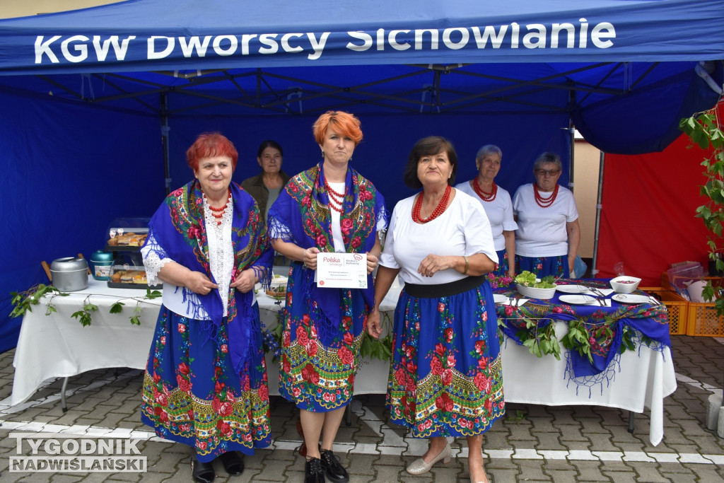 Piknik Rolniczy w Sichowie Dużym