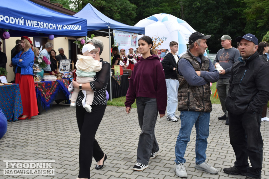 Piknik Rolniczy w Sichowie Dużym