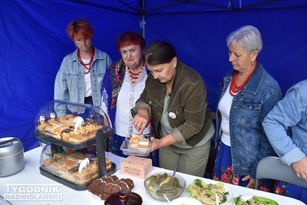 Piknik Rolniczy w Sichowie Dużym