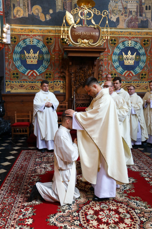 Święcenia kapłańskie w Sandomierzu