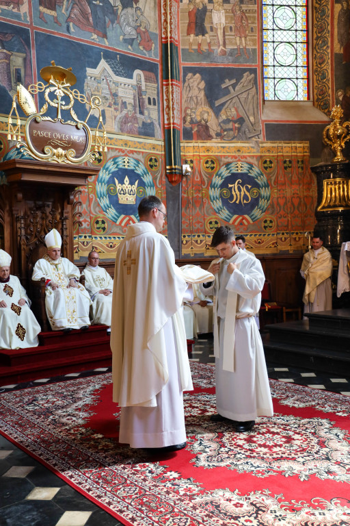 Święcenia kapłańskie w Sandomierzu