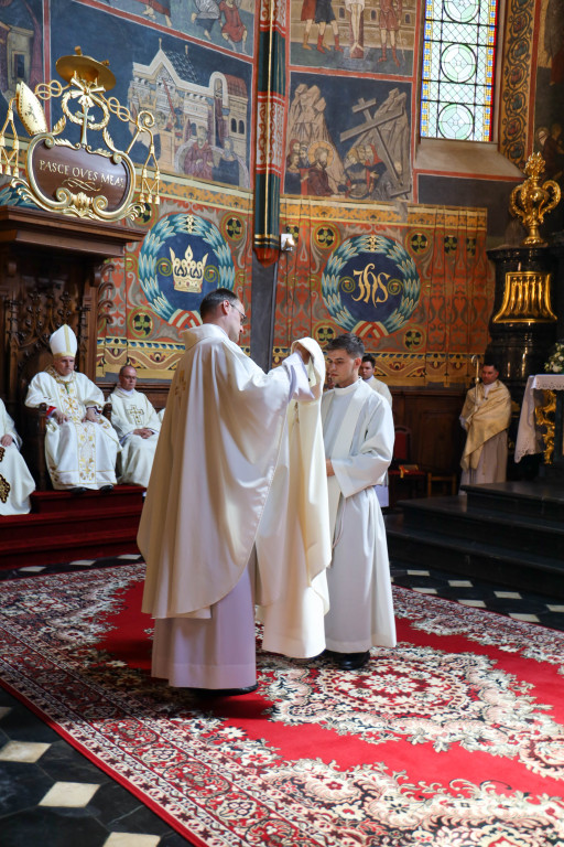Święcenia kapłańskie w Sandomierzu