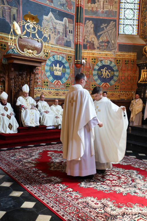 Święcenia kapłańskie w Sandomierzu