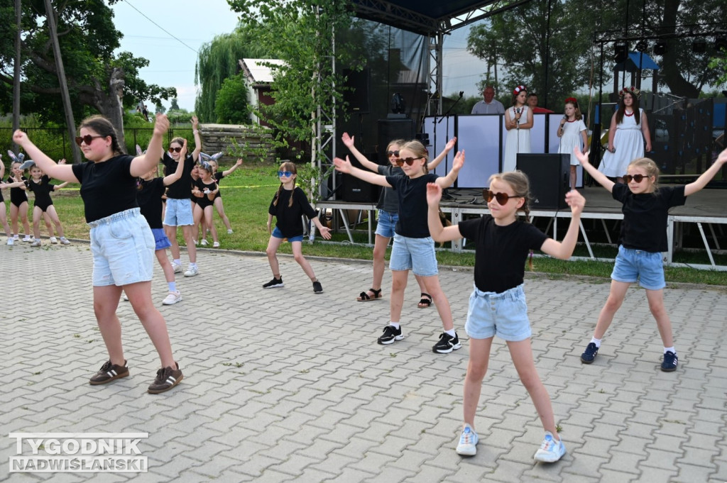 Wianki w Ciszycy 2026