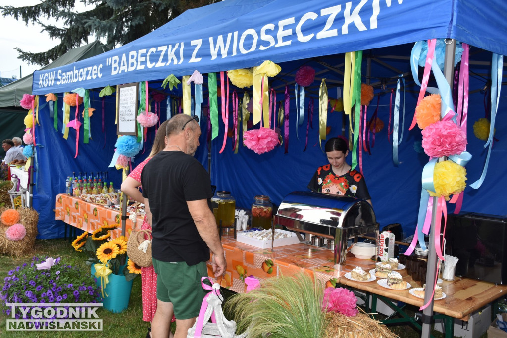 IV Festiwal KGW w Samborcu