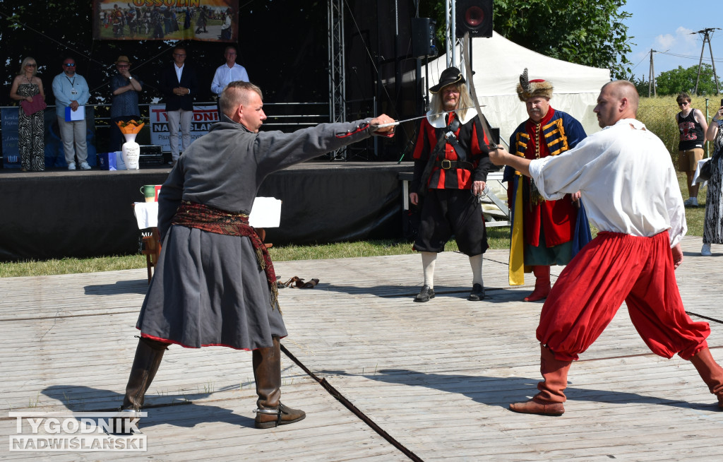 XIV Piknik Rycerski w Ossolinie
