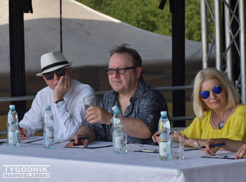 XIV Piknik Rycerski w Ossolinie