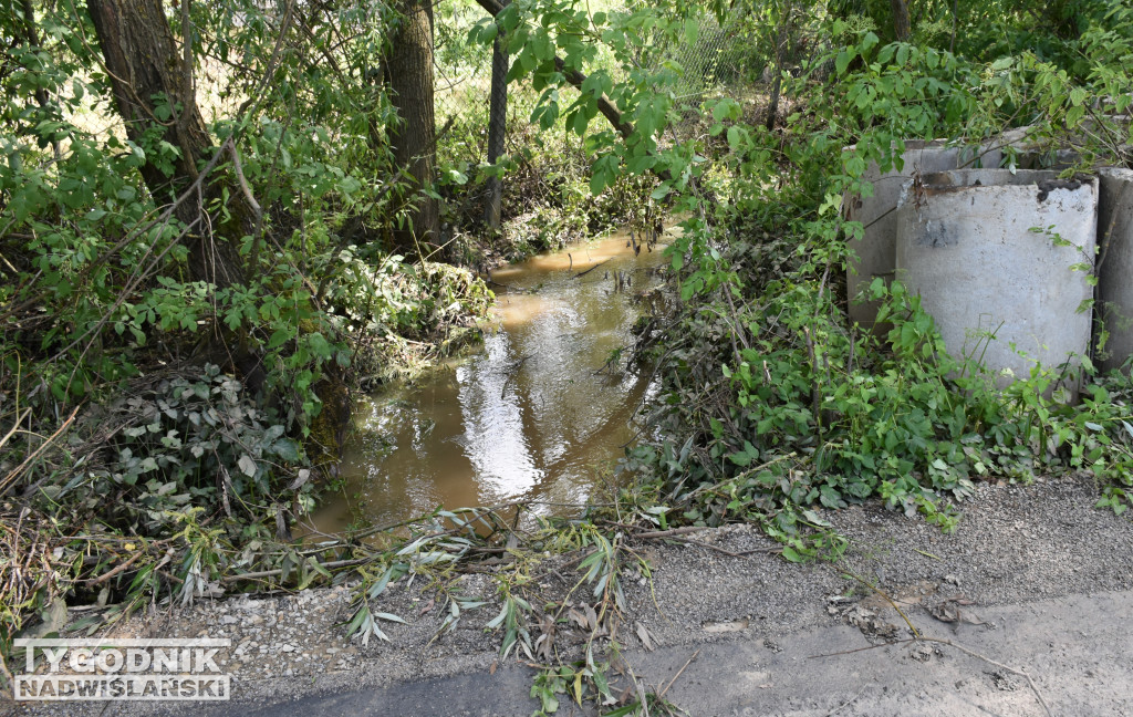 Skutki nawałnicy w gminie Obrazów