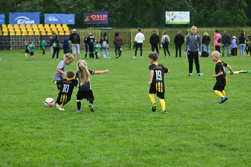 Aktywny junior 2026 w Połańcu