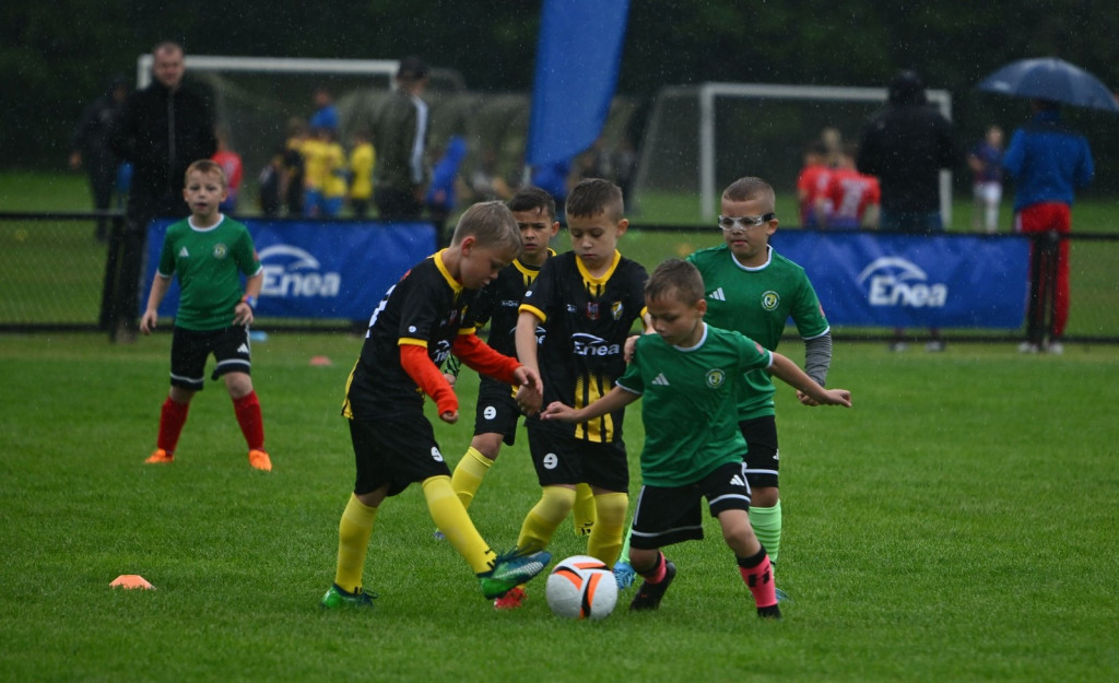 Aktywny junior 2026 w Połańcu