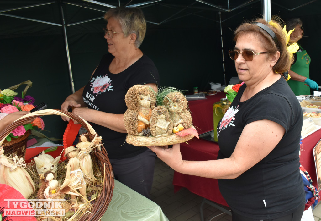 Turystyczna Sobota w gminie Dwikozy