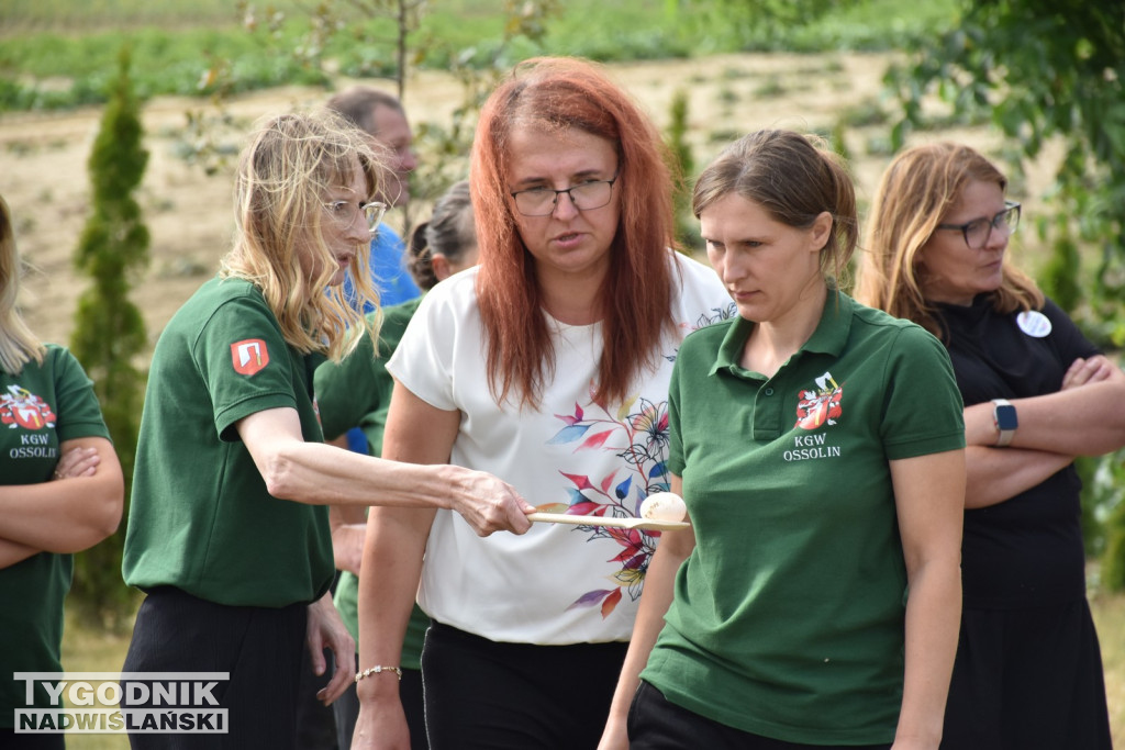 IV Olimpiada KGW w Śniekozach