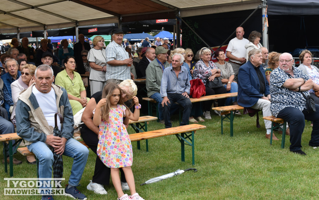 XXIX Wojewódzkie Święto Pomidora w Dwikozach