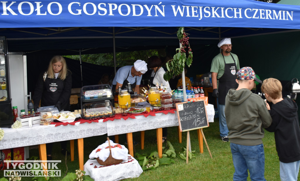 XXIX Wojewódzkie Święto Pomidora w Dwikozach