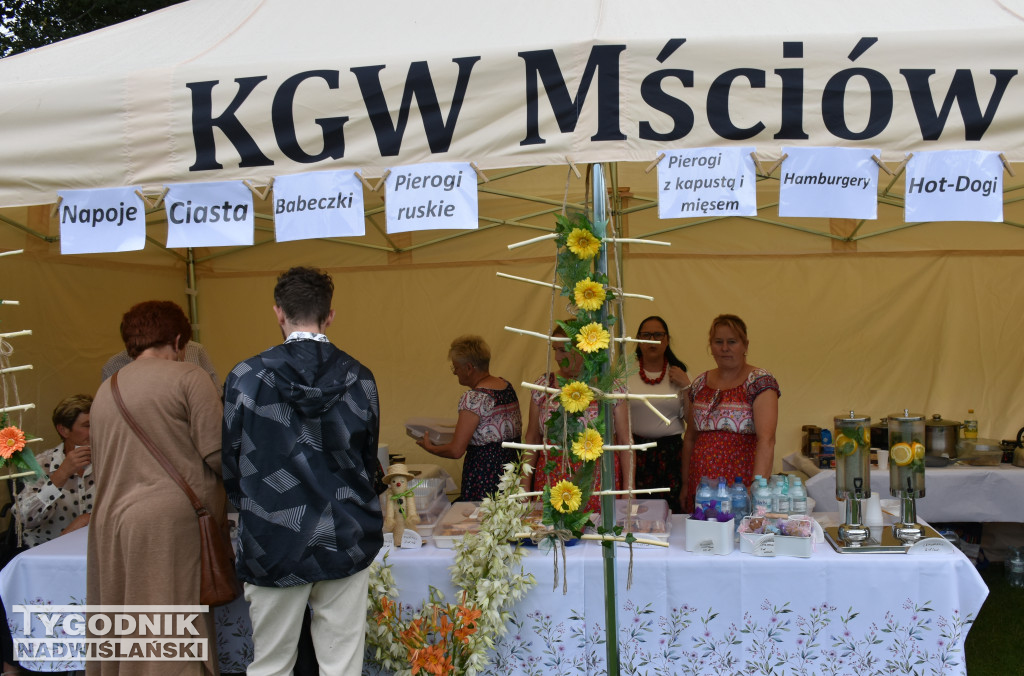 XXIX Wojewódzkie Święto Pomidora w Dwikozach