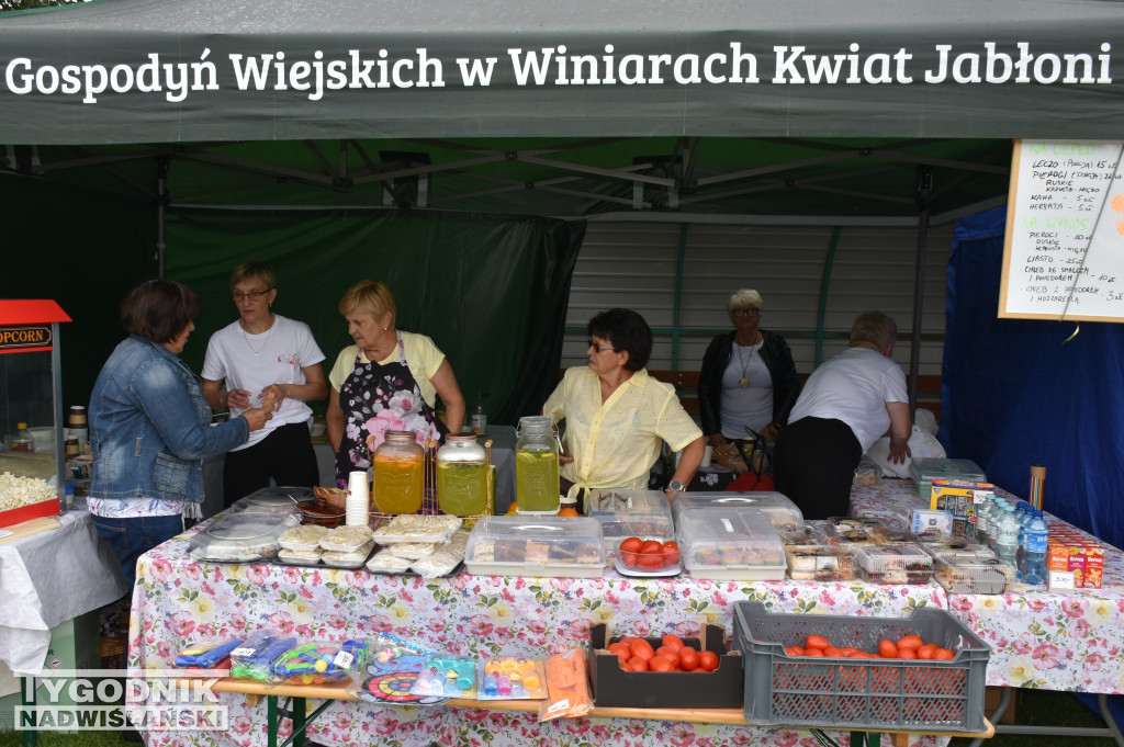 XXIX Wojewódzkie Święto Pomidora w Dwikozach