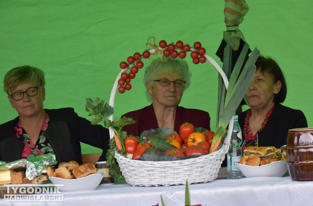 XXIX Wojewódzkie Święto Pomidora w Dwikozach