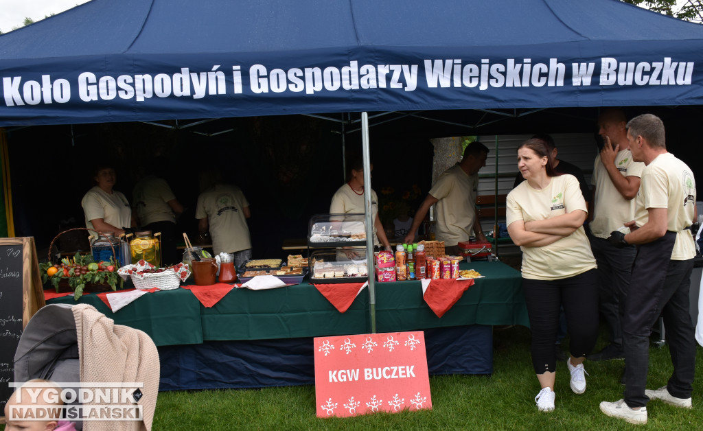 XXIX Wojewódzkie Święto Pomidora w Dwikozach