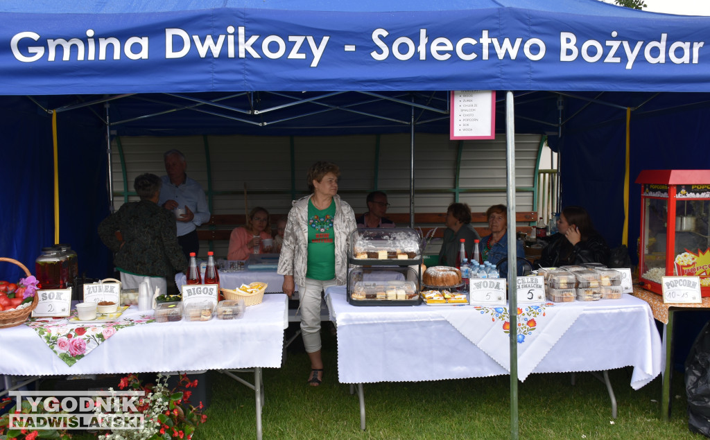 XXIX Wojewódzkie Święto Pomidora w Dwikozach