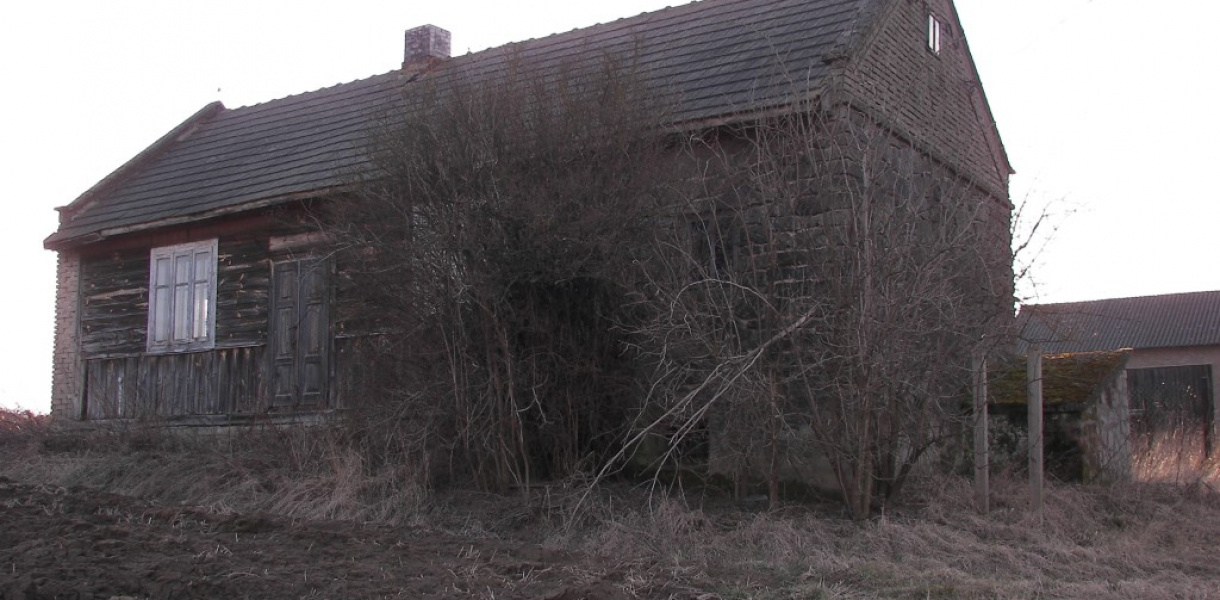 "Ida" z naszych stron [ZDJĘCIA!]