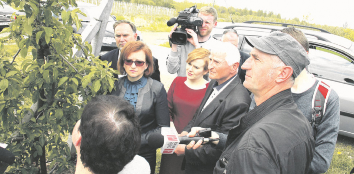 Milionowe straty w sadach