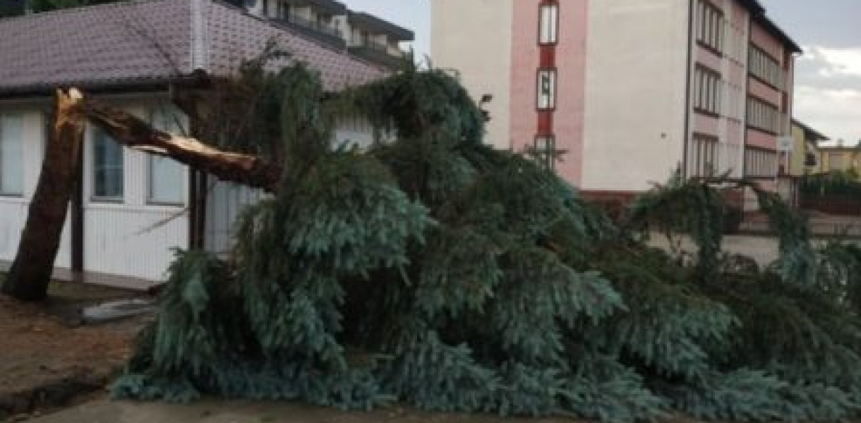 Zalane ulice i połamane drzewa - Tarnobrzeg po ulewie [zdjęcia]