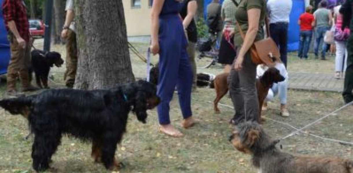 Niżańskie święto myślistwa [zdjęcia]