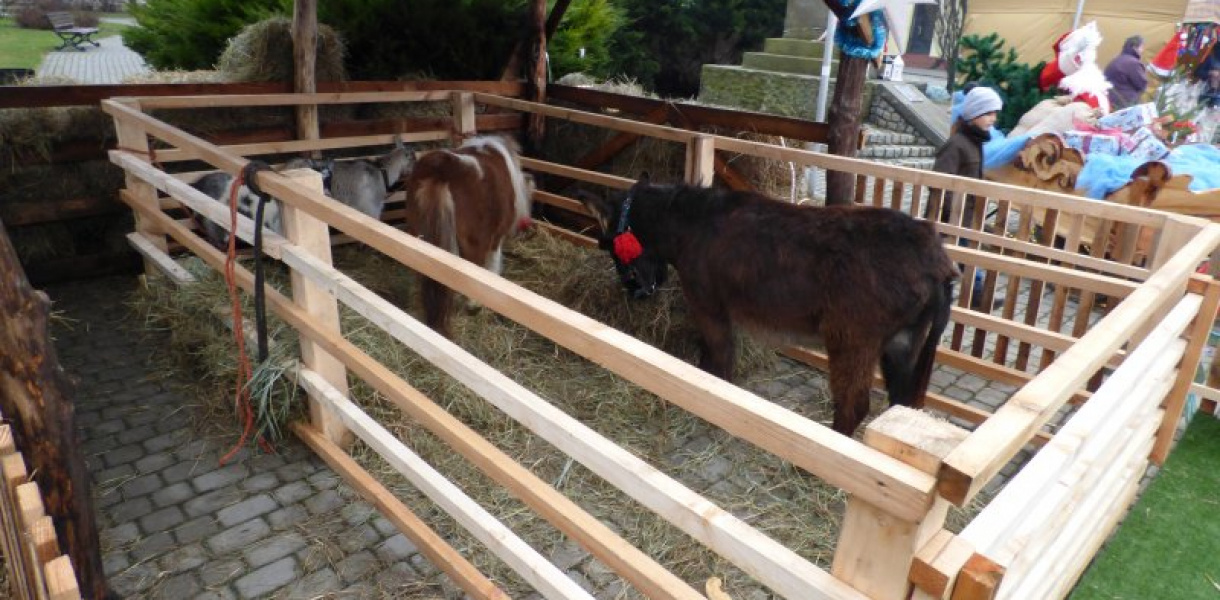 Opatowski kiermasz Bożonarodzeniowy [zdjęcia]