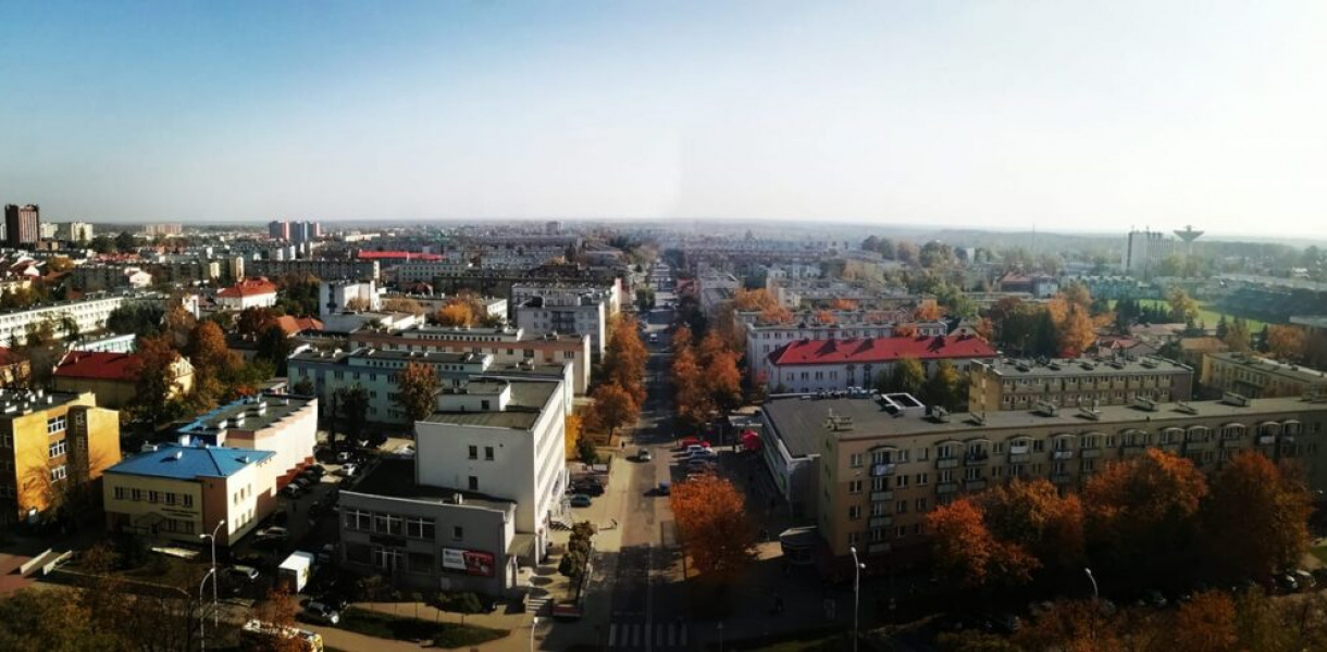 Tarnobrzeg. Będą zwalczać kleszcze