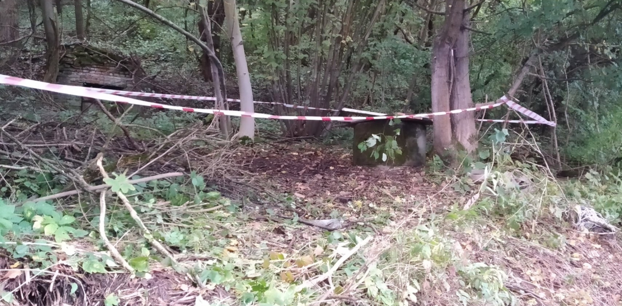 Próbował uratować kota, sam wpadł do studni [zdjęcia]