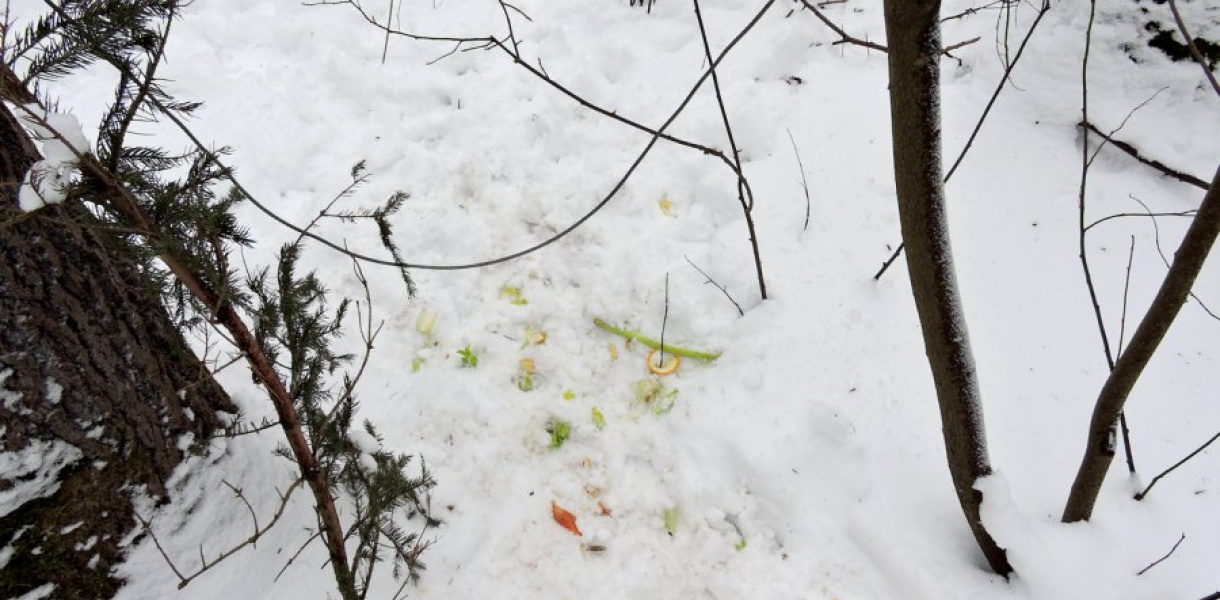 Wpadli podczas ćwiartowania złapanej we wnyki sarny