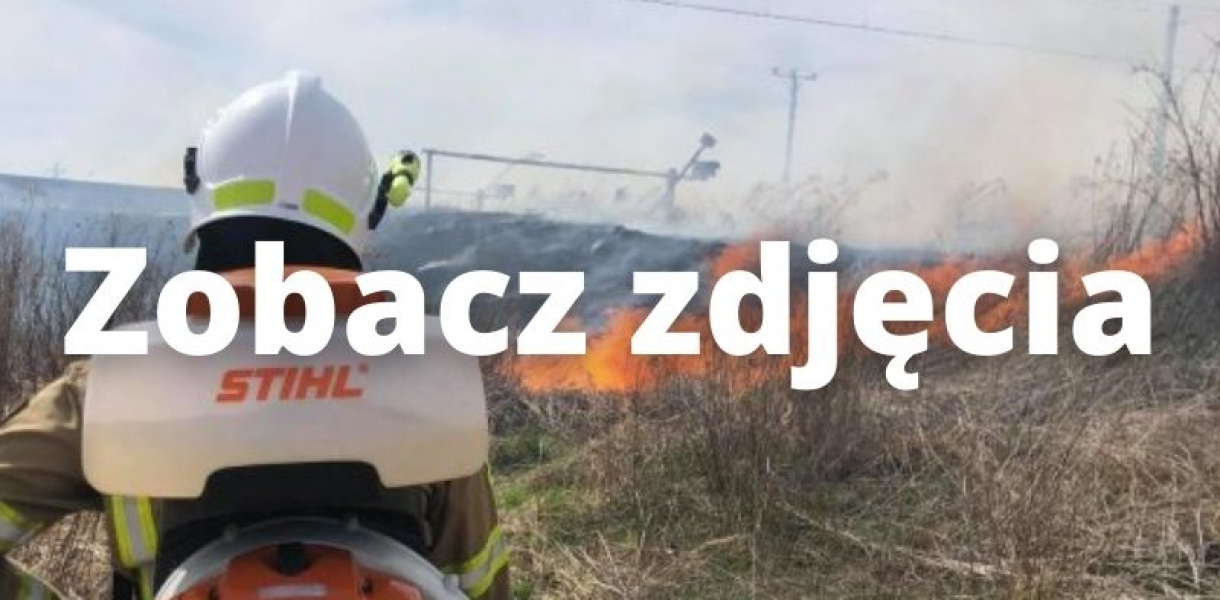 Spory pożar w gminie Nowa Dęba, osiem zastępów w akcji [zdjęcia]