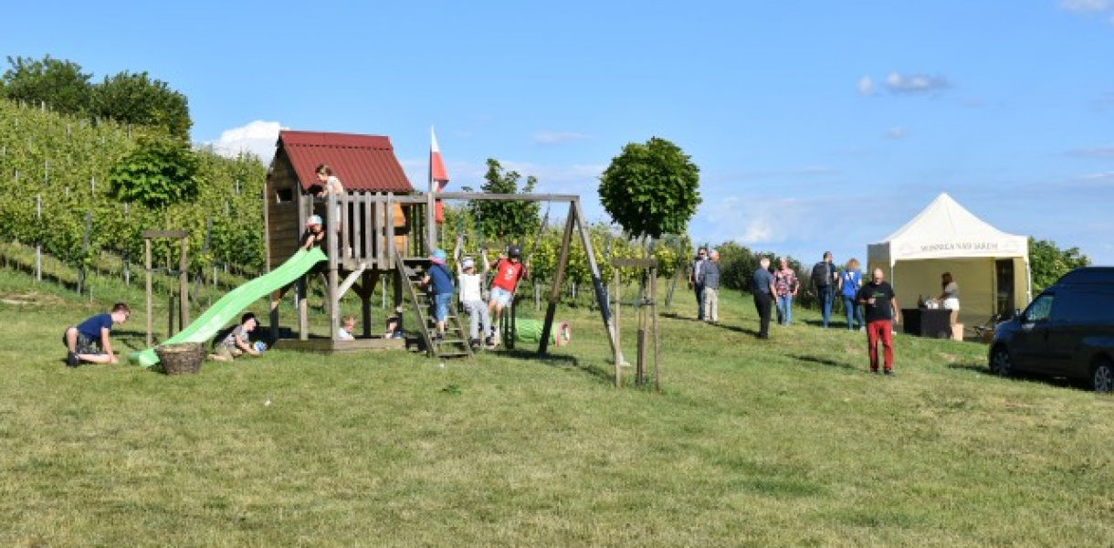 Piknik z atrakcjami wśród kwitnących winorośli [zdjęcia]