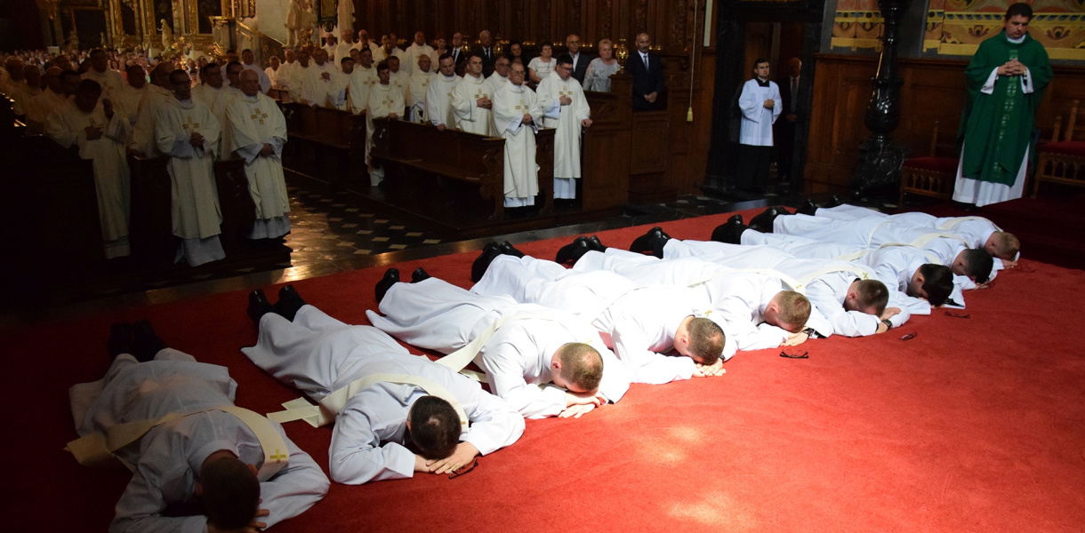 Nowi księża diecezji sandomierskiej [zdjęcia]