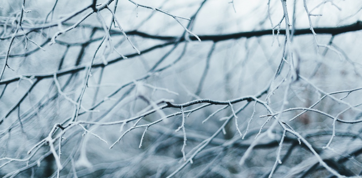 Silny mróz w środowy poranek. Jaka pogoda czeka nas w kolejnych dniach?