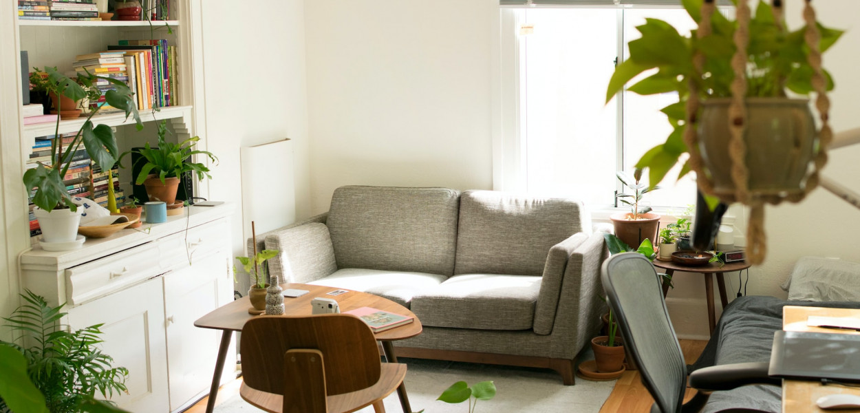 Zalety i wady wynajmu instytucjonalnego