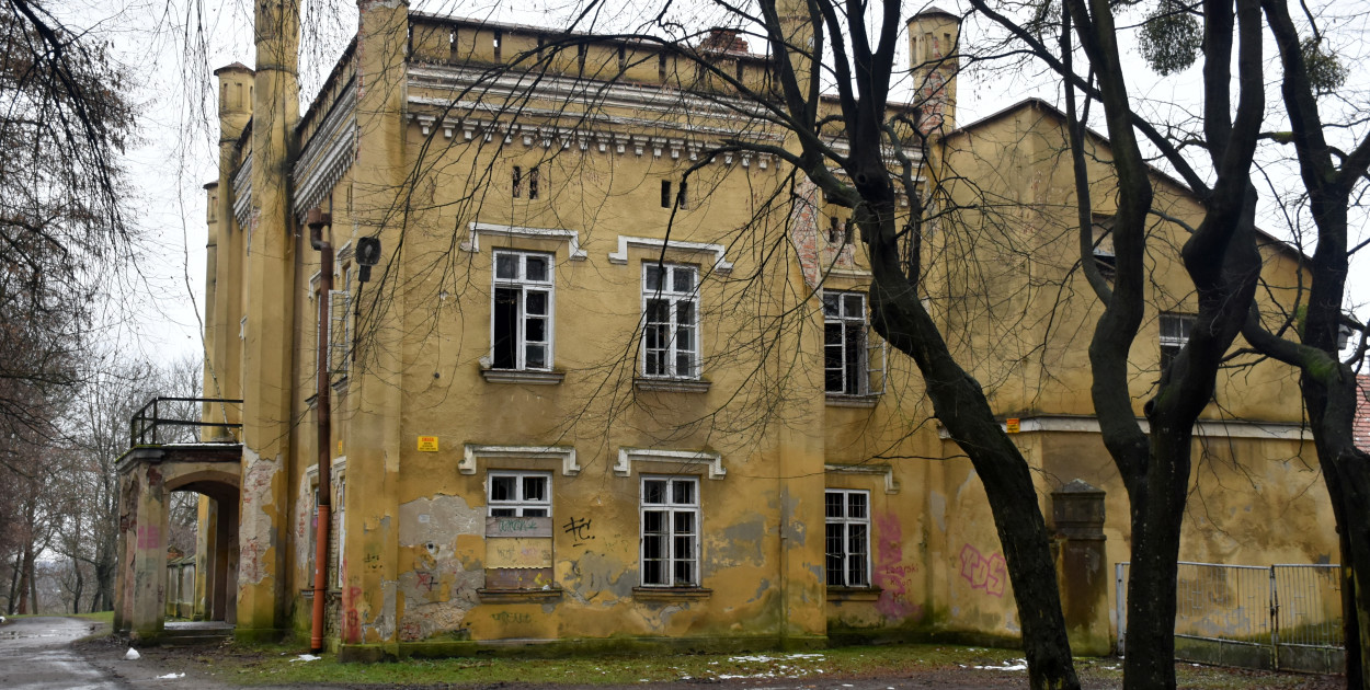 Dotacja uratuje kuchnię dworską w parku dzikowskim w Tarnobrzegu? 