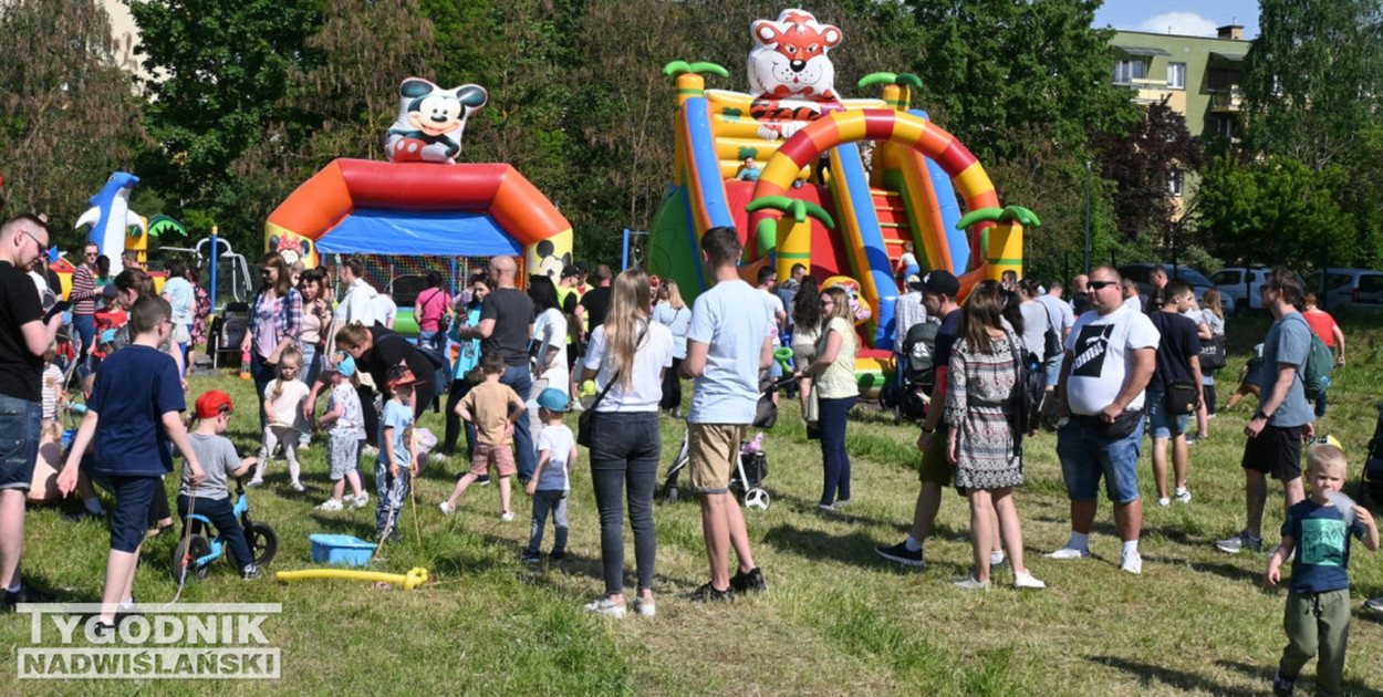 Piknik Rodziny w Tarnobrzegu. Dużo sie działo! [FOTO]