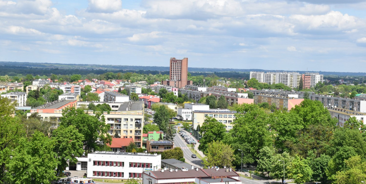 Bezrobocie w Tarnobrzegu – ile osób nie ma pracy? Sprawdź statystyki