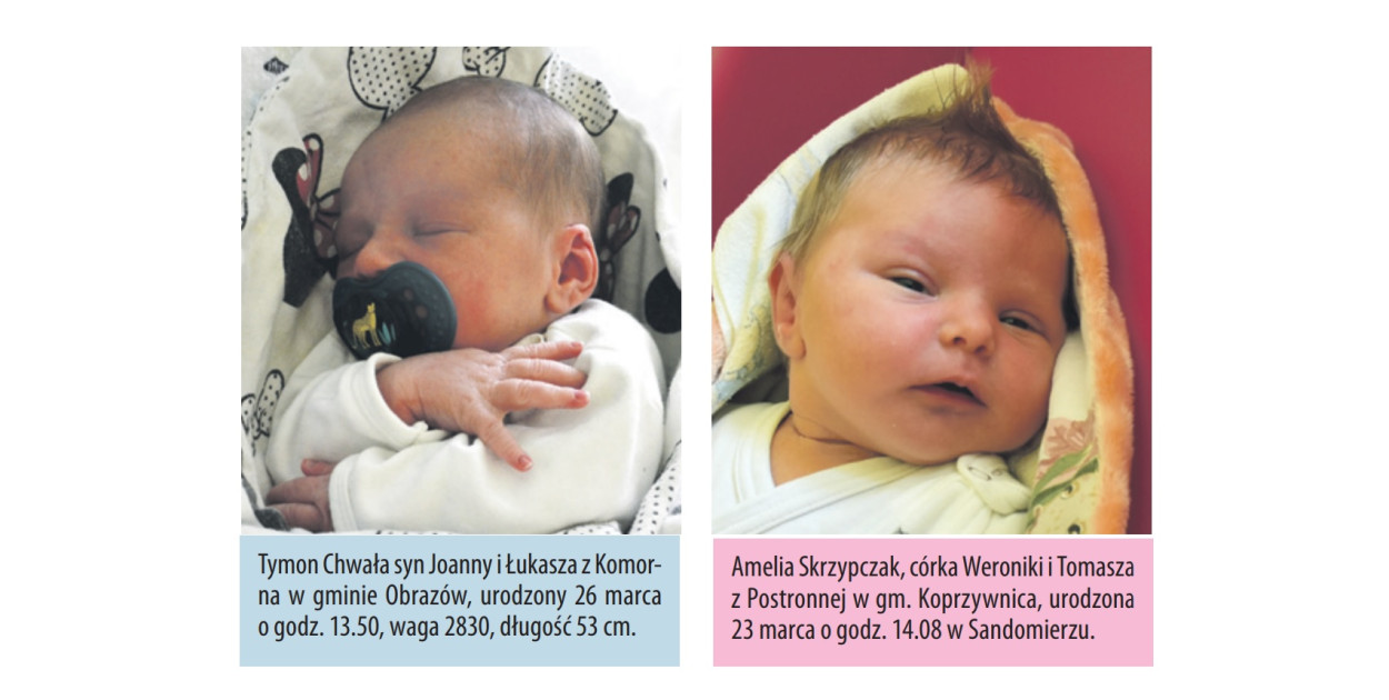 Zapraszamy do obejrzenia zdjęć dzieci, które w ostatnich tygodniach urodziły się w szpitalach w Tarnobrzegu i Sandomierzu.