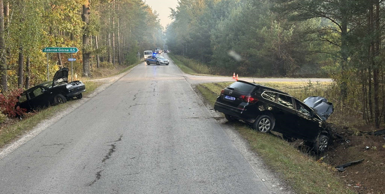 Wypadek w Zabrniu w gm. Grębów. Dwie osoby w szpitalu [FOTO]