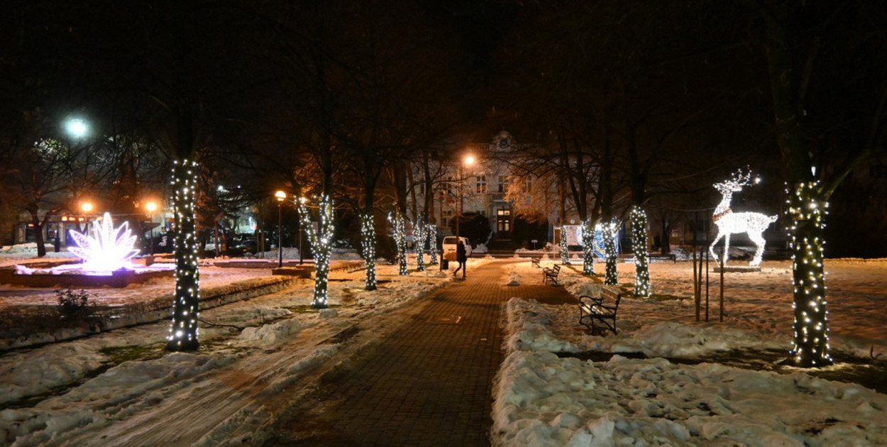 W tym roku nie będzie dodatkowych ozdób świątecznych w Tarnobrzegu