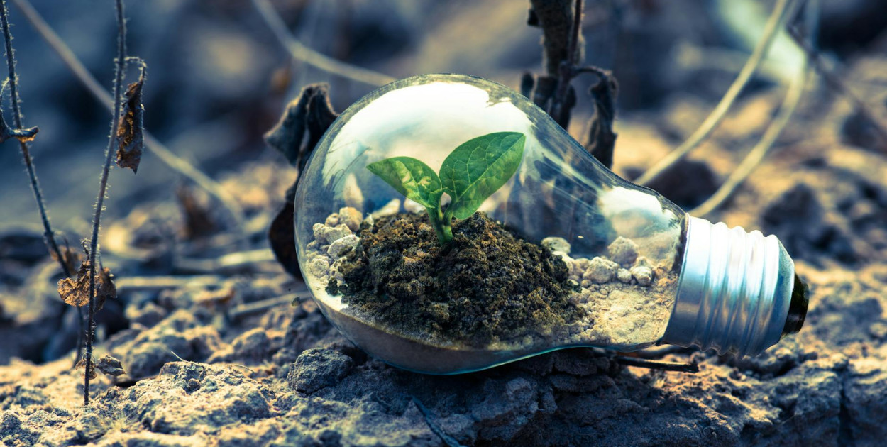 Raportowanie środowiskowe – jakie są obowiązki przedsiębiorstw produkcyjnych?