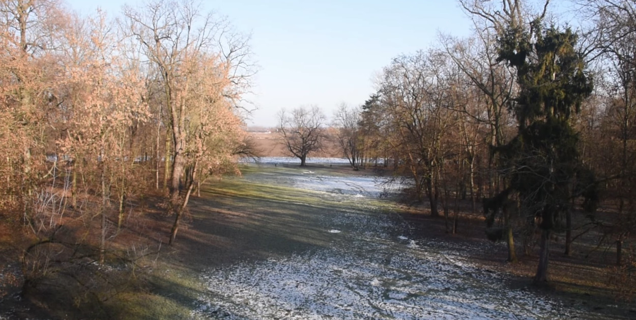 Dzikowski park w nowej odsłonie. Czas na projekt