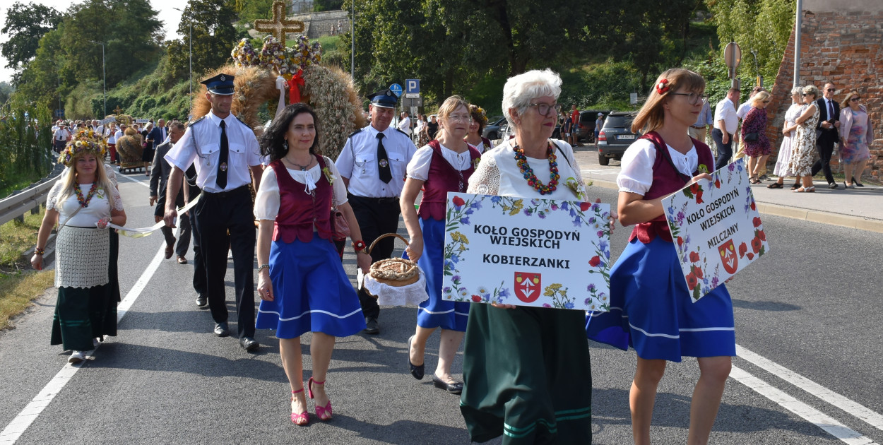 Korowód dożynkowy ubiegłorocznego święta plonów w Sandomierzu  