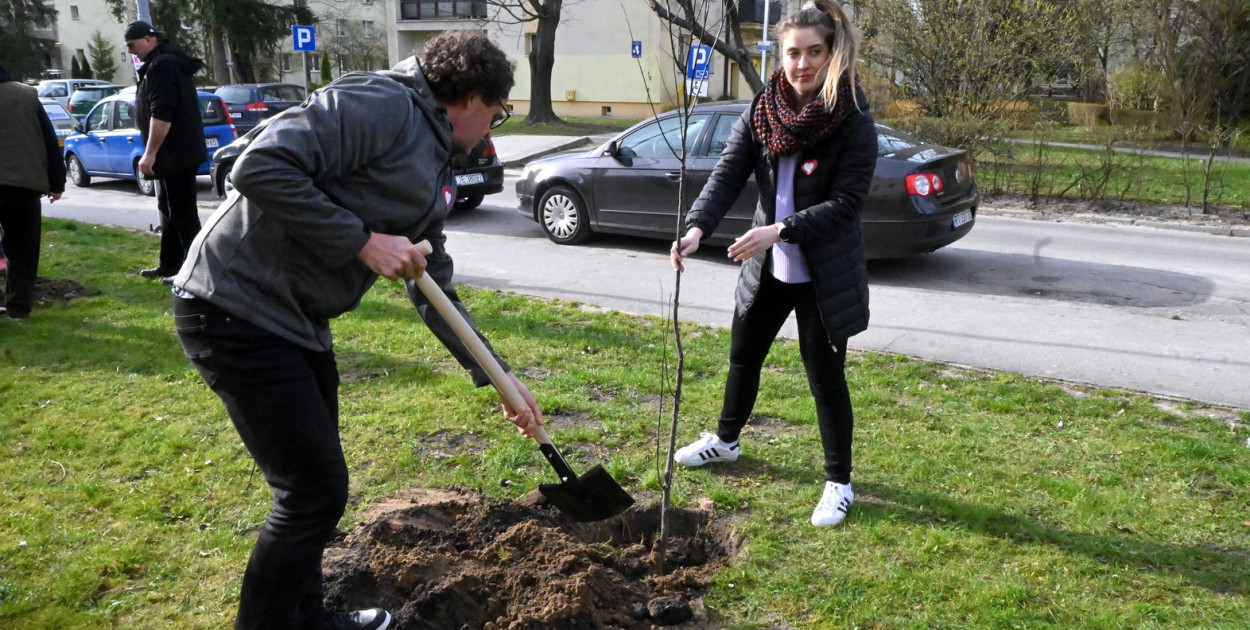 Kandydaci Koalicji Obywatelskiej sadzili drzewa na osiedlu Przywiśle w Tarnobrzegu