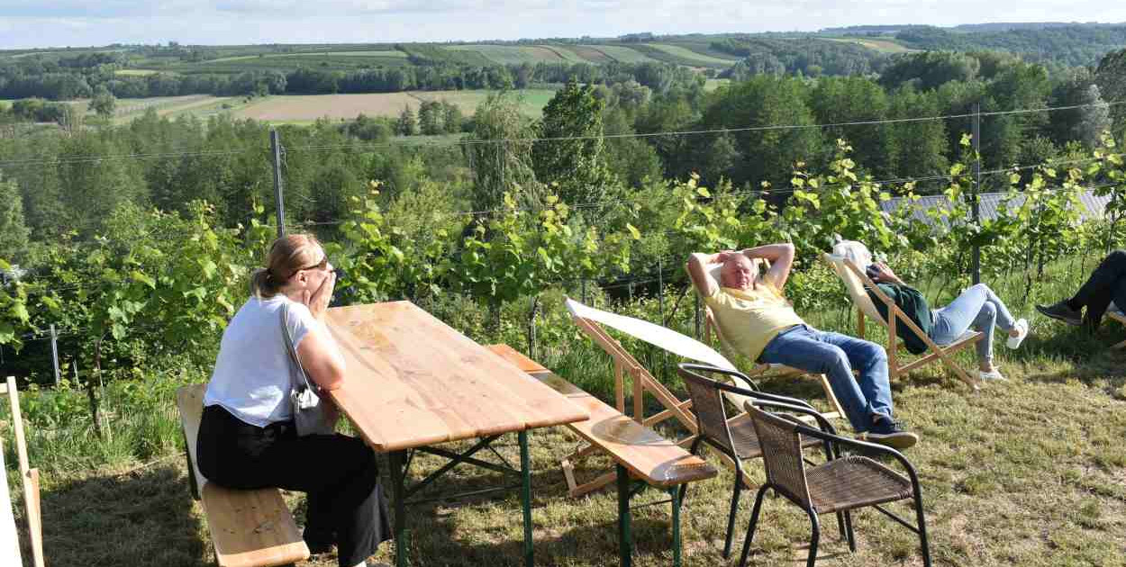 Ubiegłoroczny Piknik Kwitnącej Winorośli  