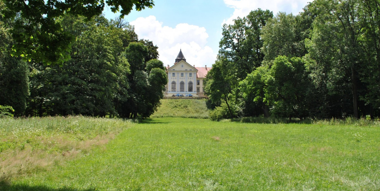Park Dzikowski w Tarnobrzegu przejdzie rewitalizację.